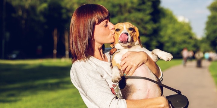 Todo sobre el seguro de responsabilidad civil de los perros